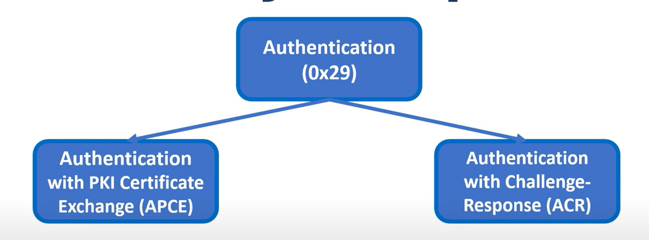 UDS Authentication Modes